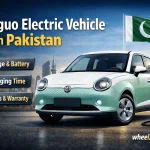Binguo Electric Vehicle