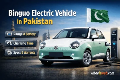 Binguo Electric Vehicle