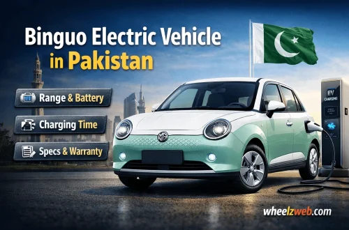 Binguo Electric Vehicle